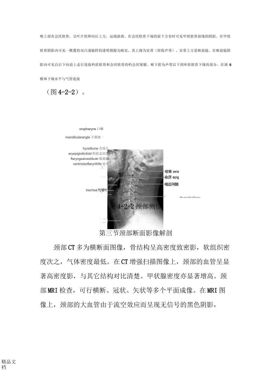 颈部影像解剖_第3页