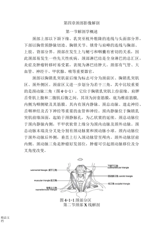 颈部影像解剖