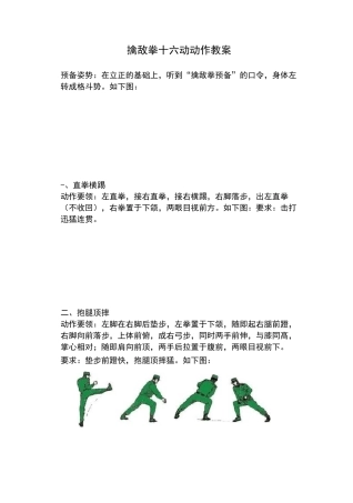 擒敌拳十六动动作教案
