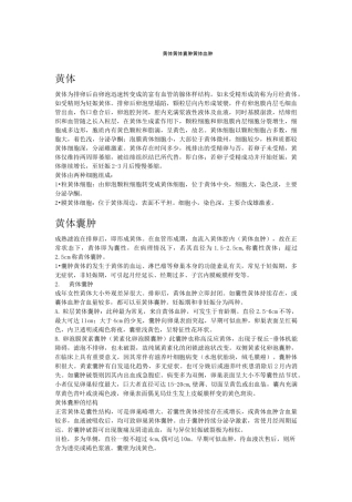 黄体黄体囊肿 黄体血肿