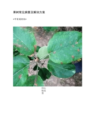 果树常见病害及解决方案