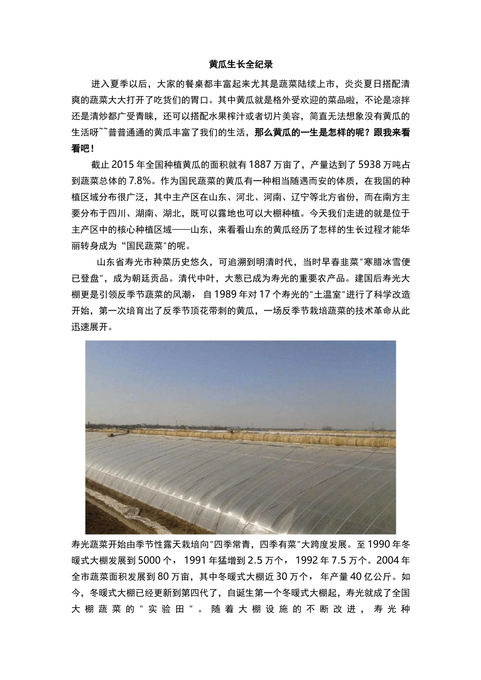 大棚黄瓜生长管理技术要点_第1页