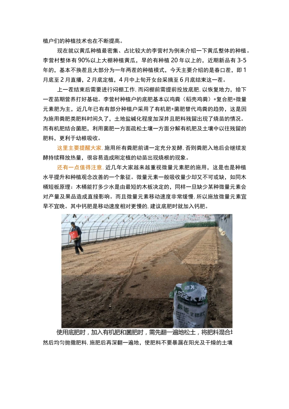 大棚黄瓜生长管理技术要点_第2页