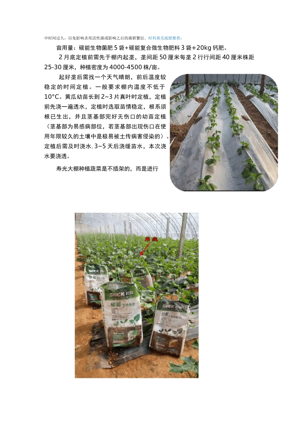 大棚黄瓜生长管理技术要点_第3页