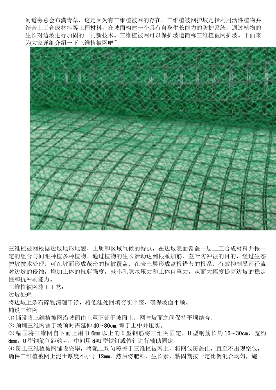 三维植被网施工工艺_第2页