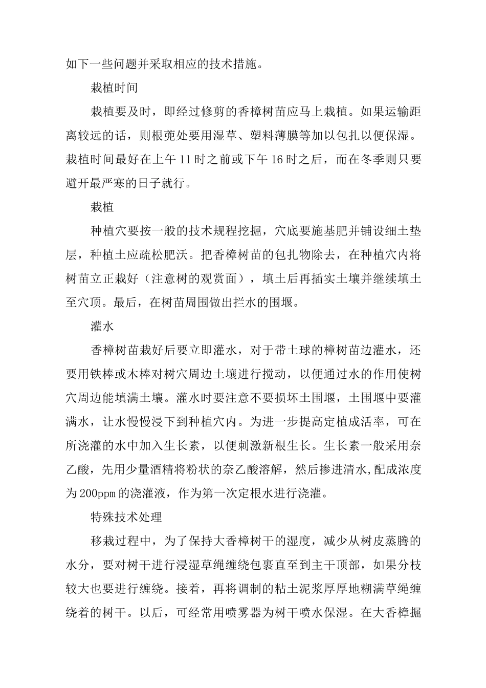 香樟树的种植方式_第2页