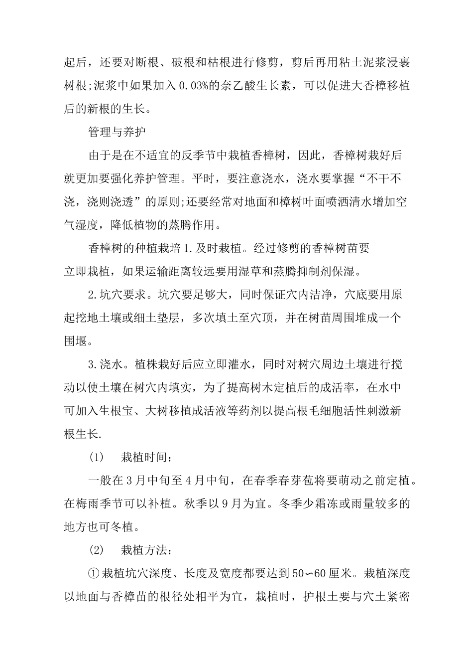 香樟树的种植方式_第3页