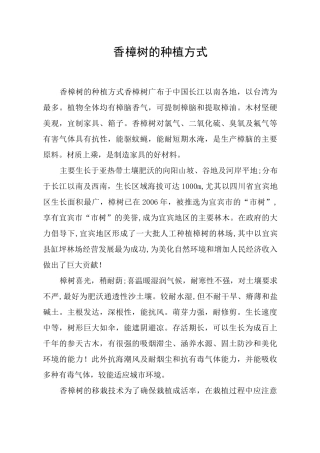 香樟树的种植方式