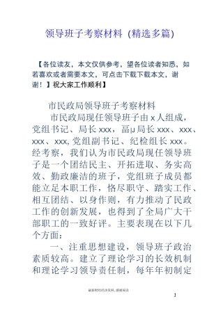 领导班子考察材料(精选多篇)