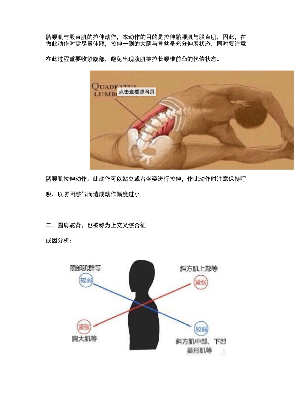 【儿童体能教案】体态矫正_第3页