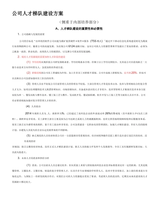 人才梯队建设详细方案计划