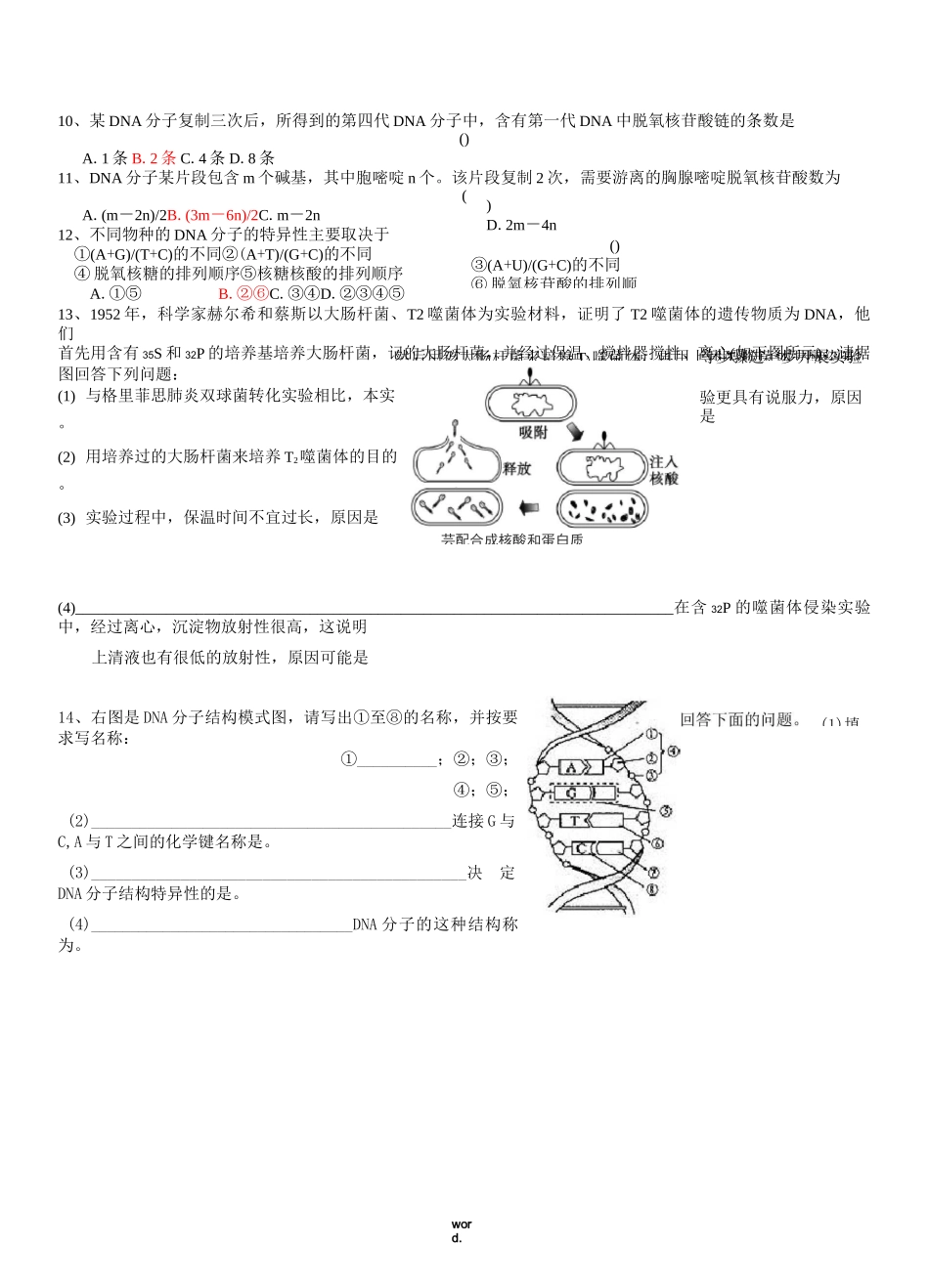 基因的本质 (复习题)._第3页