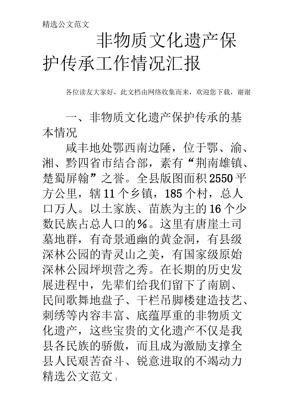 非物质文化遗产保护传承工作情况汇报_第1页