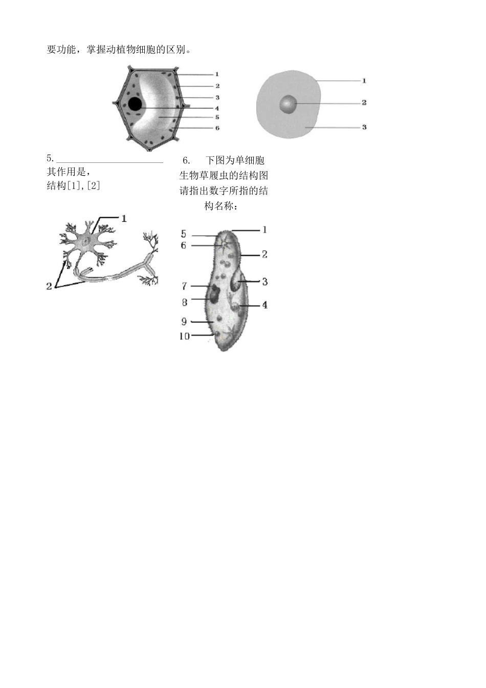 初中生物复习资料填图_第2页