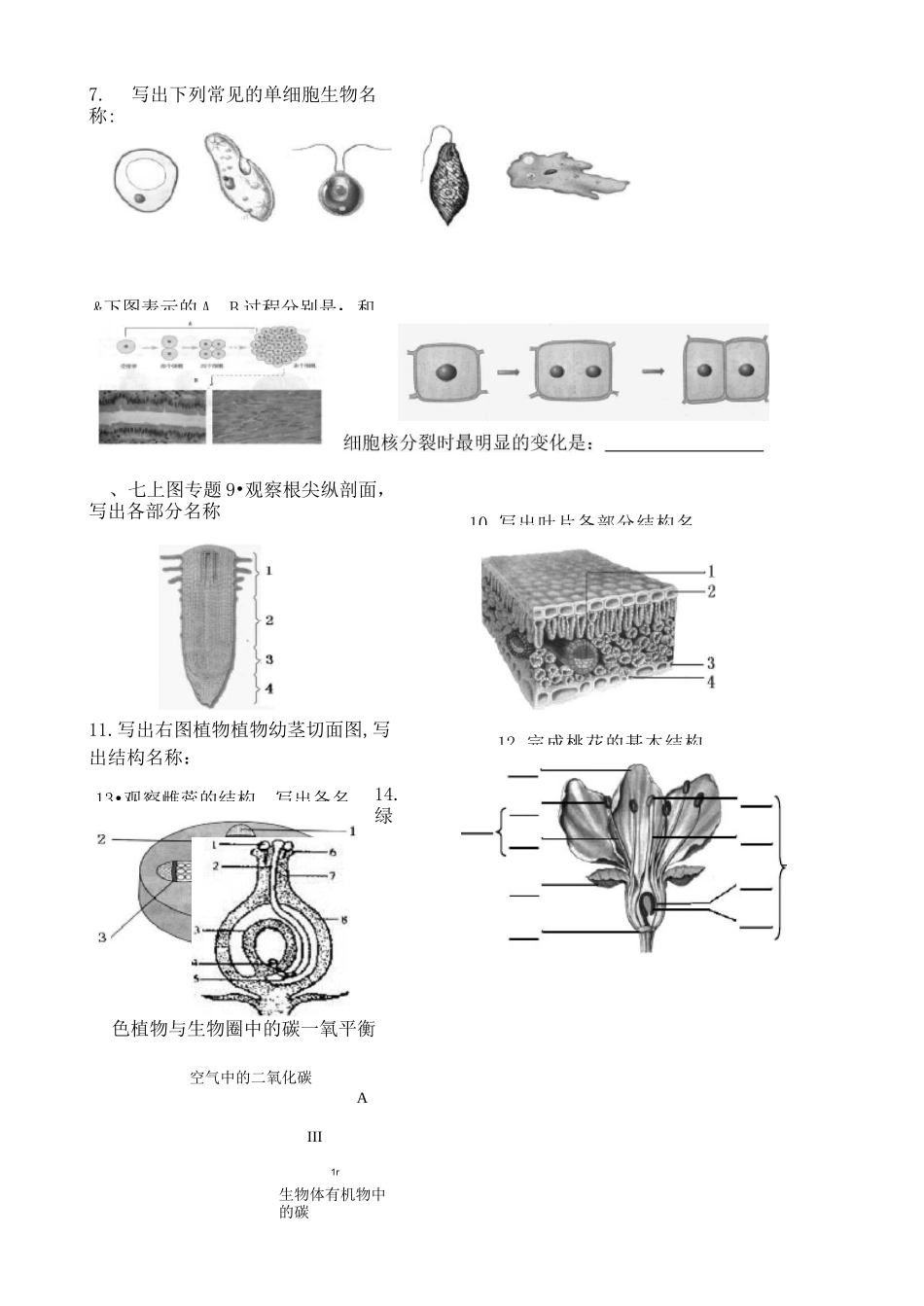 初中生物复习资料填图_第3页