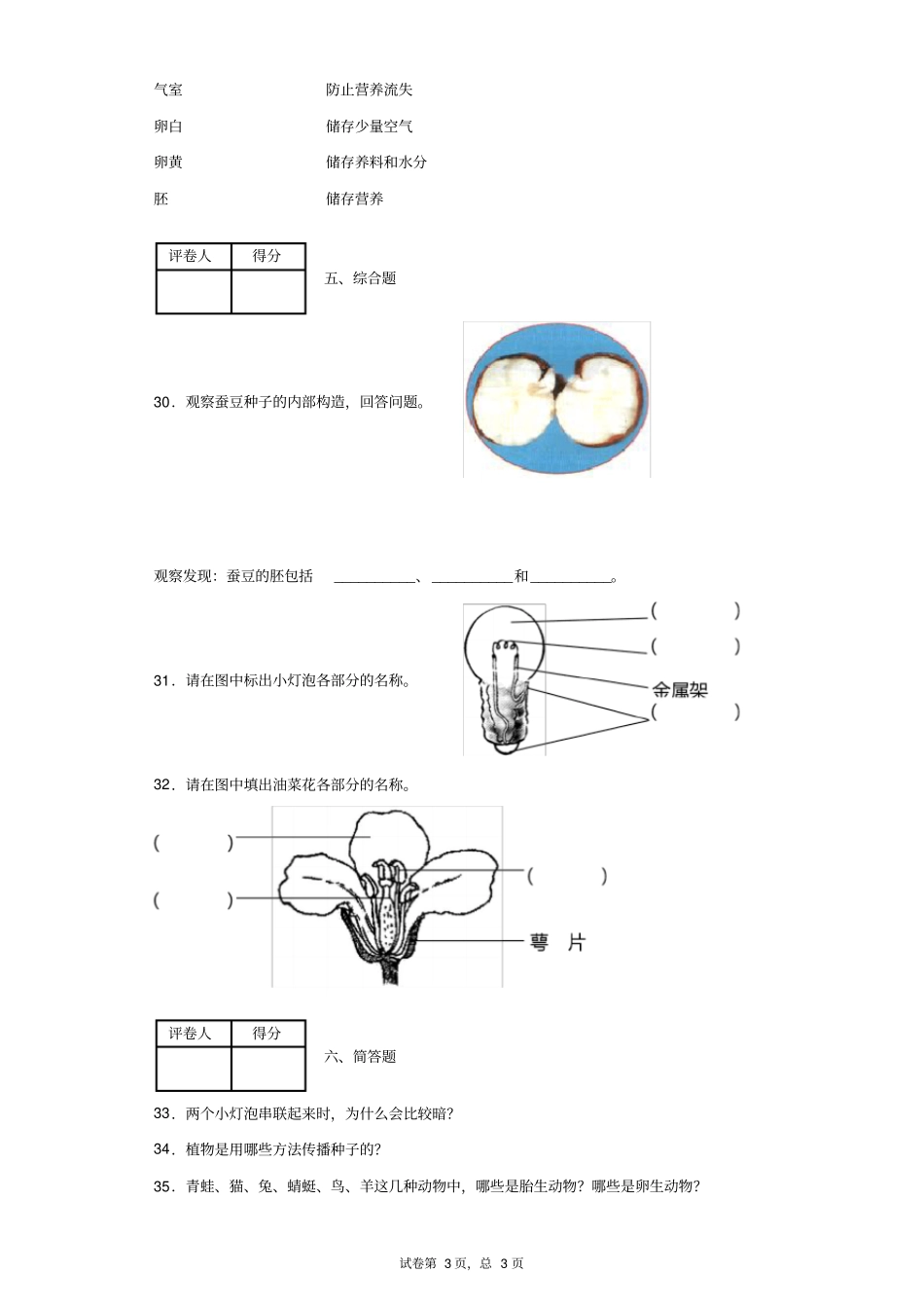 四年级下册科学试题-期中学情检测科学试卷教科版含答案_第3页