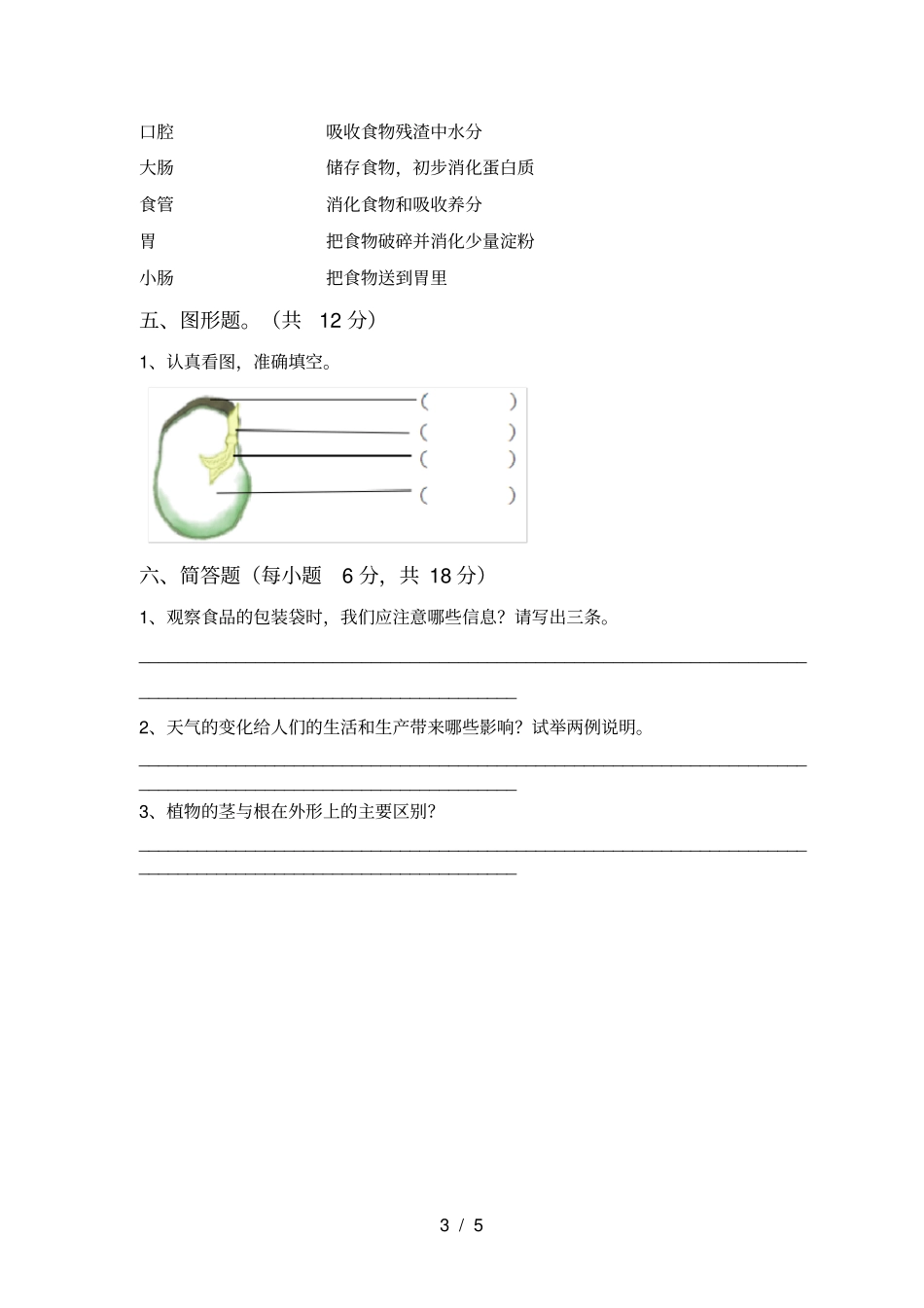 四年级科学上册期中考试卷及答案【】_第3页