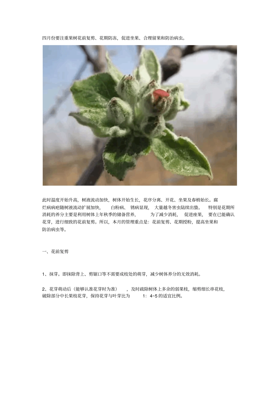 四月份,你的苹果园就该这样管!分析_第1页