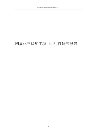 四氧化三锰加工项目可行性研究报告