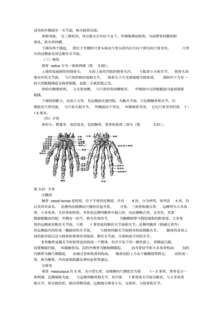 四肢骨与其连接_第3页