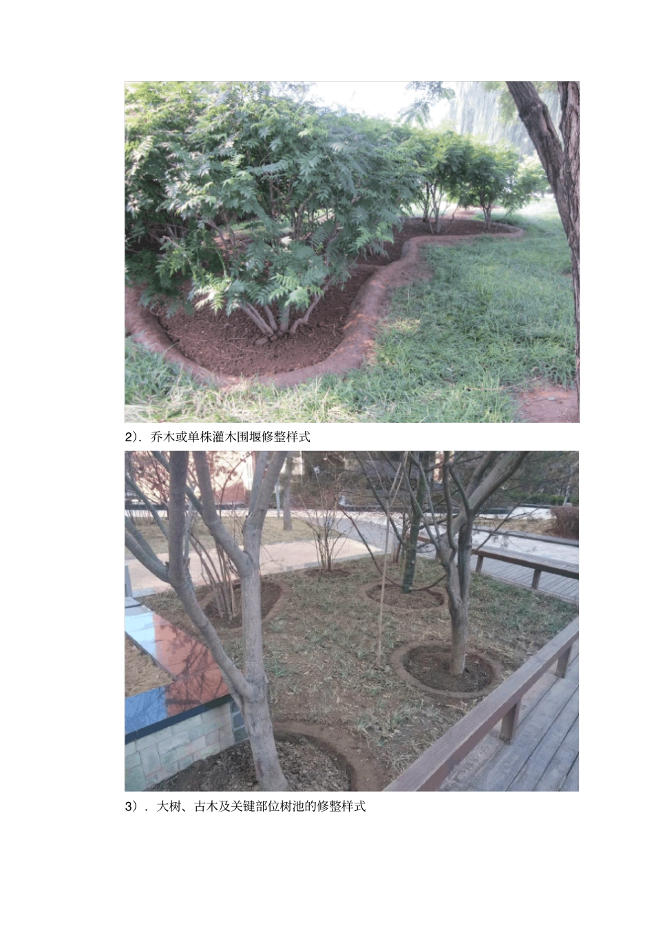 四绿化养护要点及病虫害防治_第2页