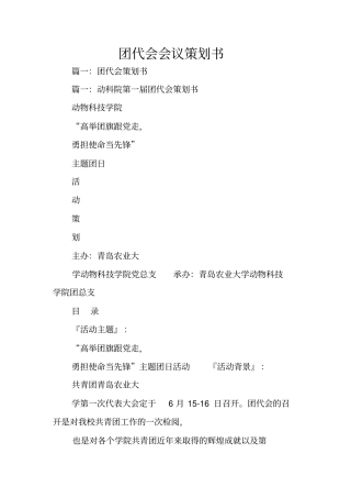 团代会会议策划书