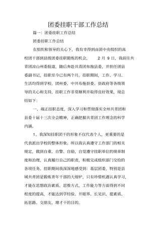 团委挂职干部工作总结