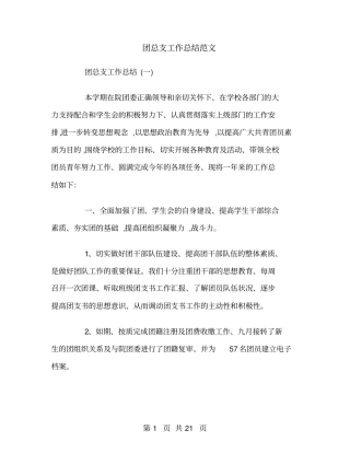 团总支工作总结范文