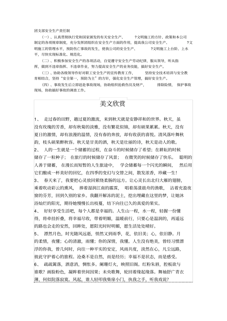 团支部安全生产责任制_第1页