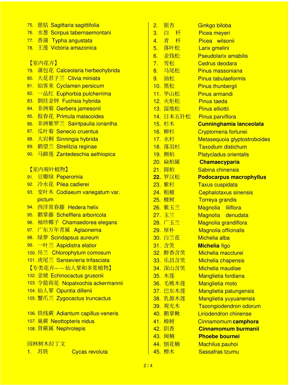 园林植物拉丁学名_第2页