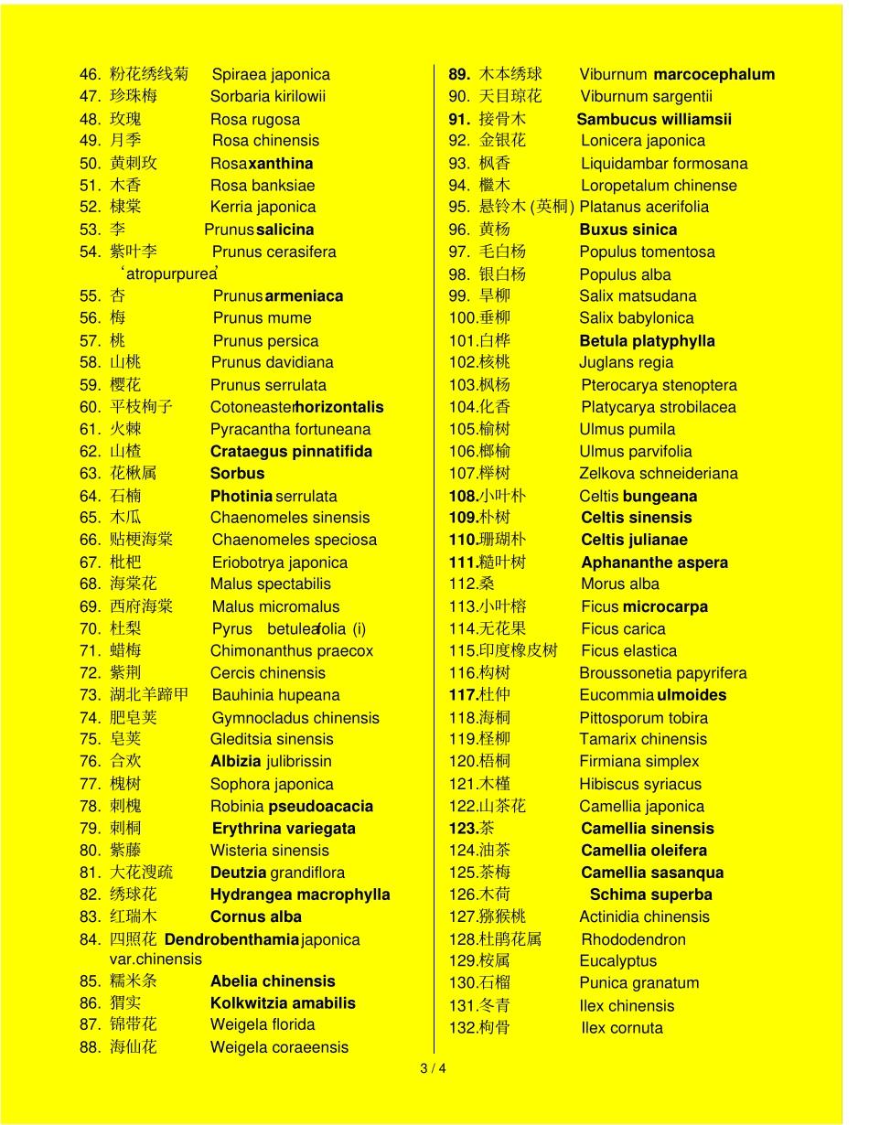 园林植物拉丁学名_第3页