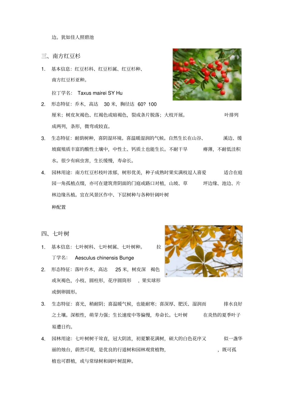 园林植物学常见乔木灌木地被植物_第3页