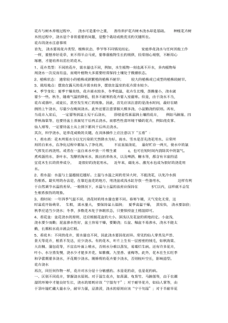 园林绿化中树木与花卉的浇水注意事项