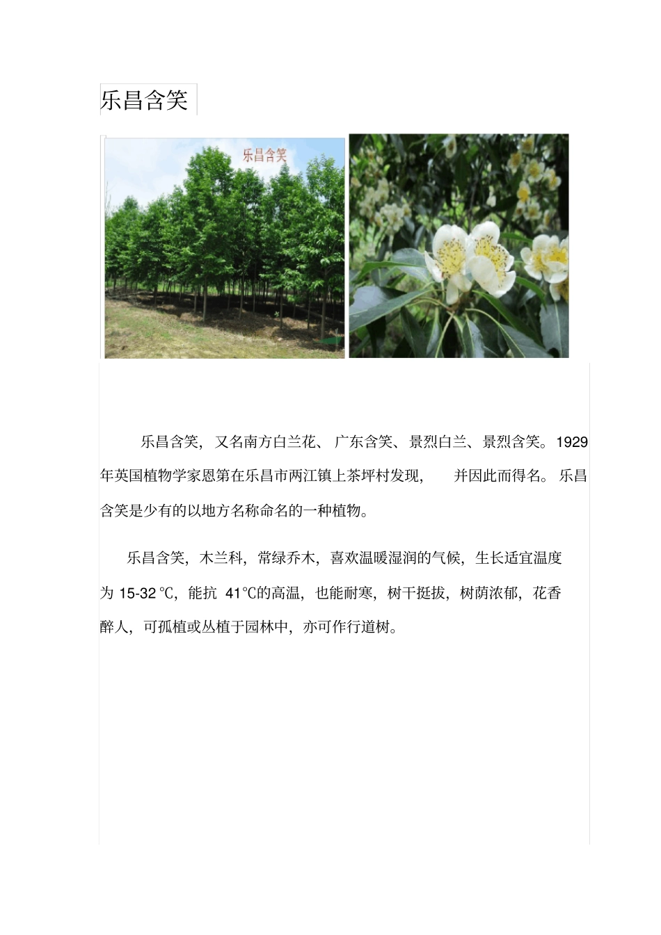 园林绿化常用乔木灌木_第3页