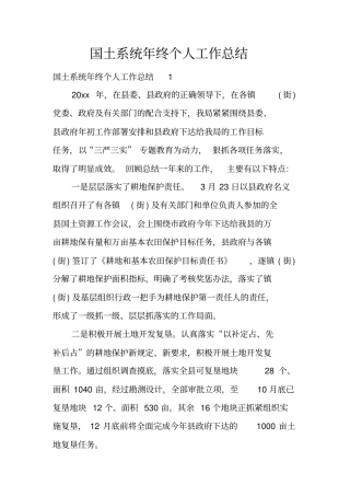 国土系统年终个人工作总结