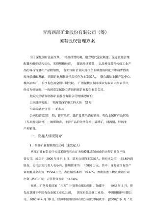 国有股权管理方案