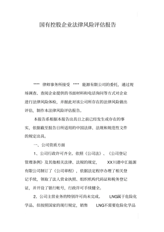 国有控股企业法律风险评价报告