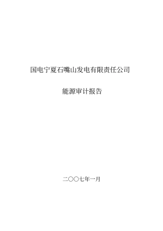 国电宁夏石嘴山发电有限责任公司能源审计报告