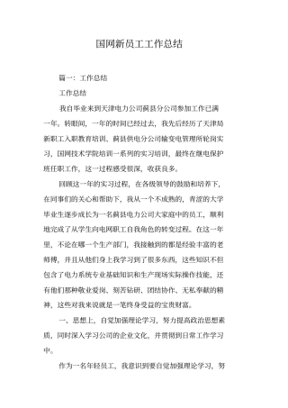 国网新员工工作总结工作范文