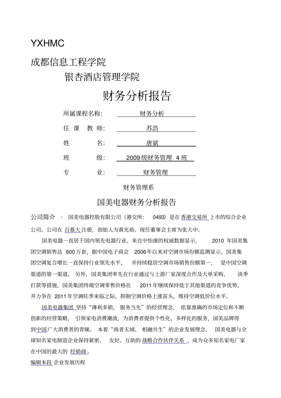 国美电器财务分析报告_第1页