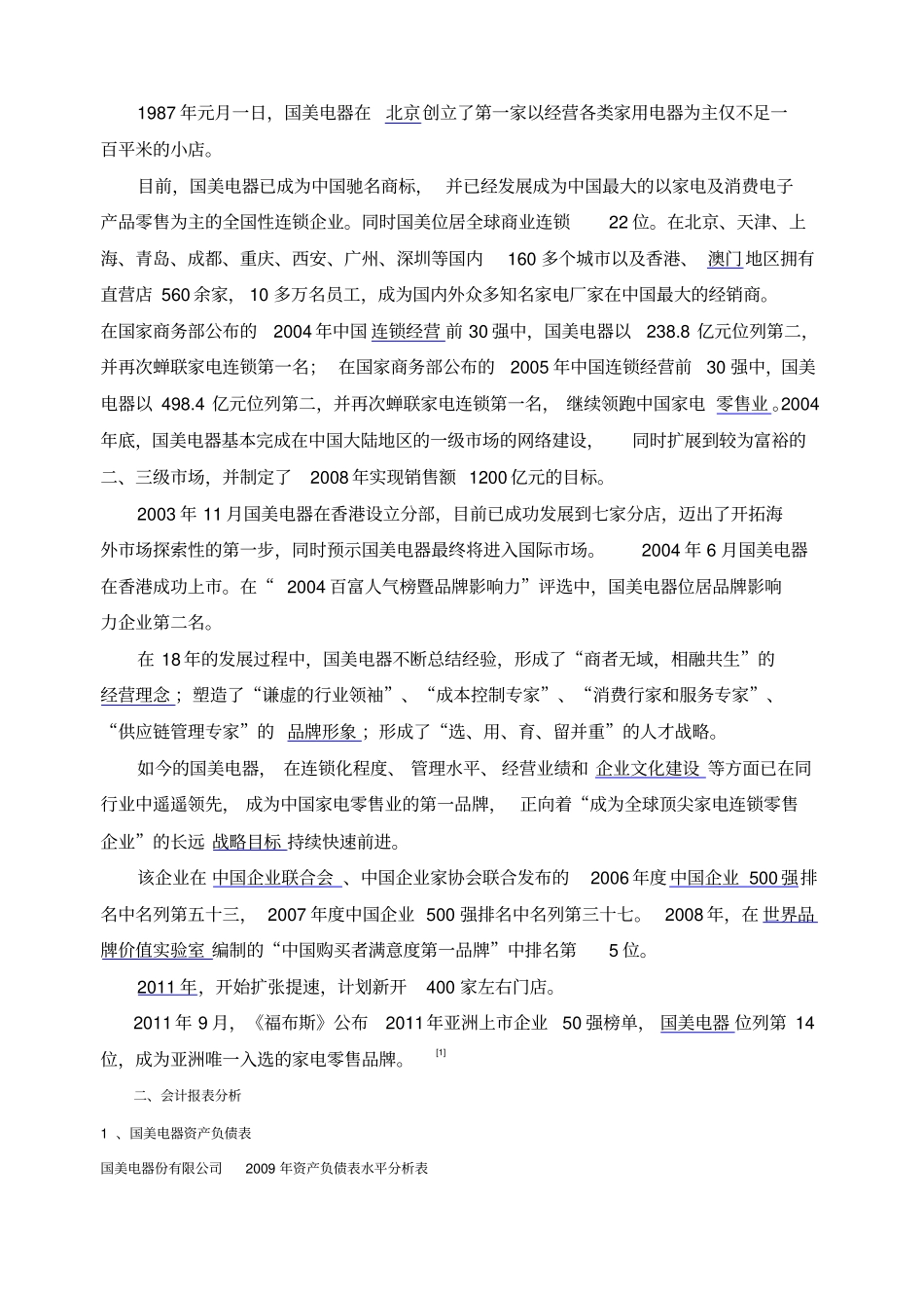 国美电器财务分析报告_第2页