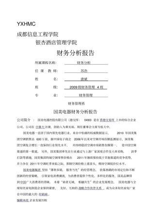 国美电器财务分析报告