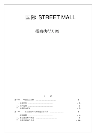 国际STREETMALL招商执行推广方案