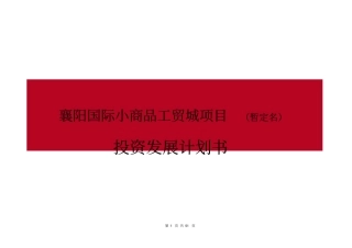 国际小商品工贸城发展计划书