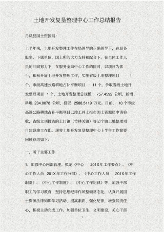 土地开发复垦整理中心工作总结报告精