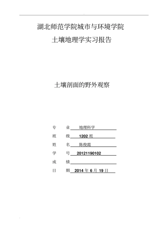 土壤剖面试验报告