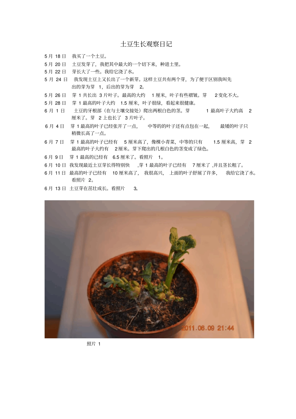 土豆生长观察日记_第1页