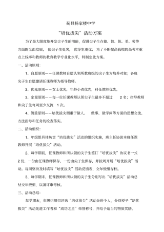 培优拔尖活动方案