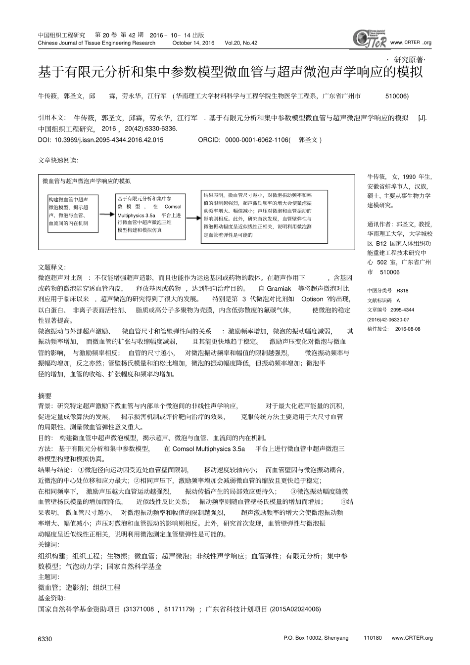 基于有限元分析和集中参数模型微血管与超声微泡声学响应的模拟汇总_第1页