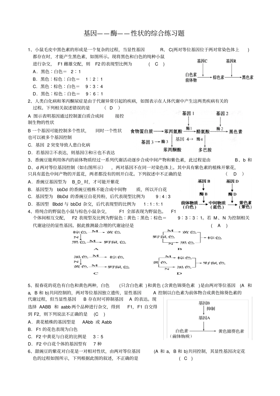 基因—酶—性状专题复习_第1页